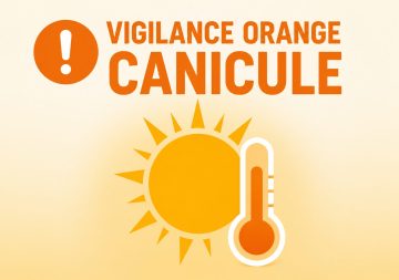 vigilance Orange